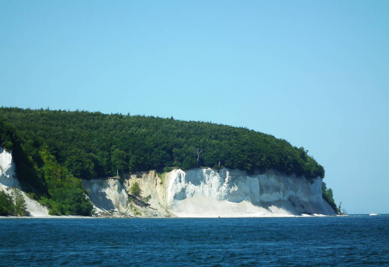 Kreidefelsen mit dichtem Wald bewachsen vom Meer aus gesehen