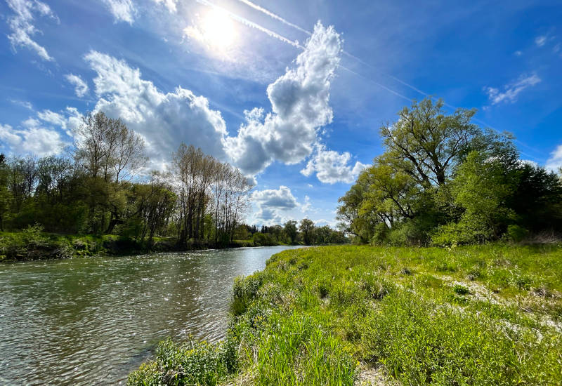 Fluss mit Bäumen und Sträuchern umwachsen und blauem Himmel mit Wolken