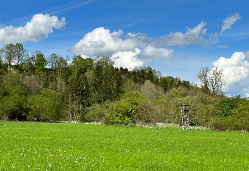 Hochstand auf grüner Wiese vor Wald