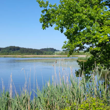 Rundtour um den Maisinger See
