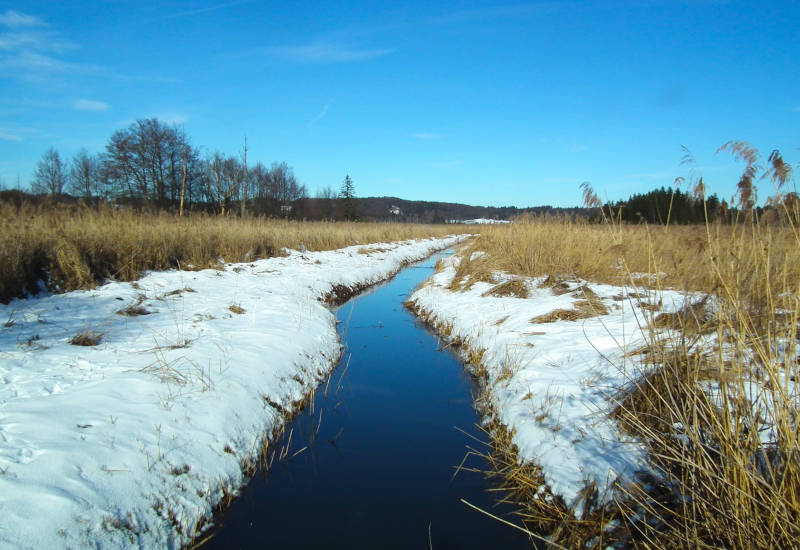 Schneebedeckte Wiese mit Wasserlauf und blauem Himmel.