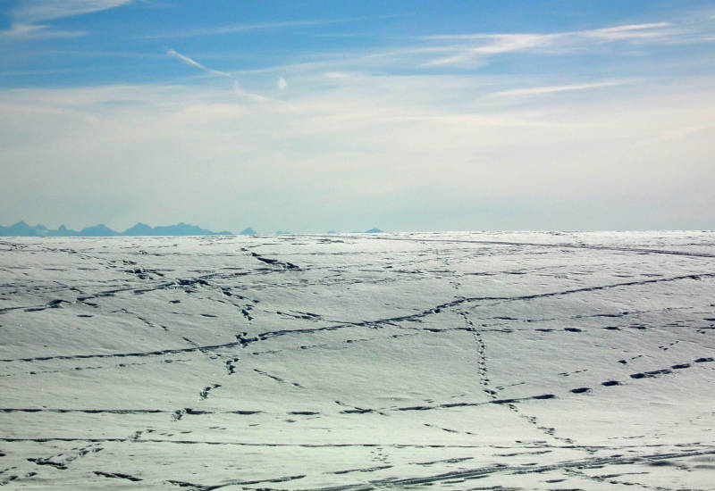Schneebedeckte Landschaft mit blassem Himmel und fernen Bergen.