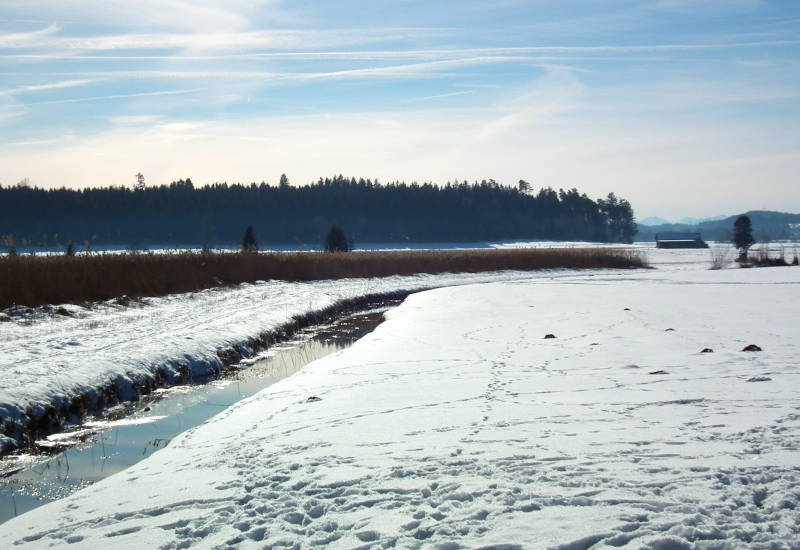 Schneebedeckte Landschaft mit Wasserlauf und bewaldetem Hintergrund.