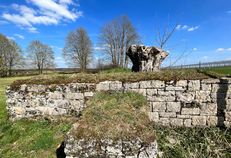 Steinerne Mauer mit Baumstumpf und Bäumen im Hintergrund.