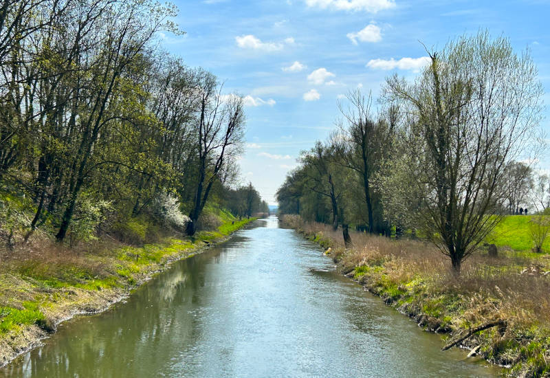 Fluss mit Bäumen und blauem Himmel im Hintergrund.