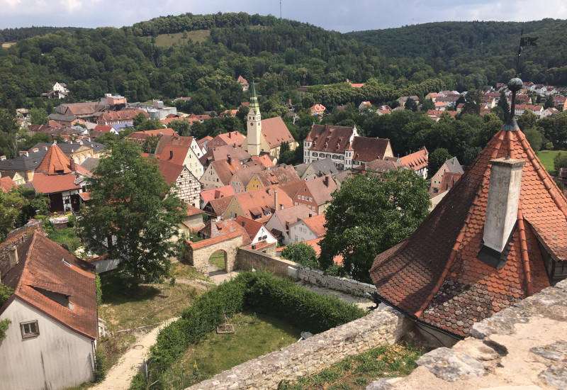 Blick auf eine malerische Stadt mit historischen Gebäuden und Natur.