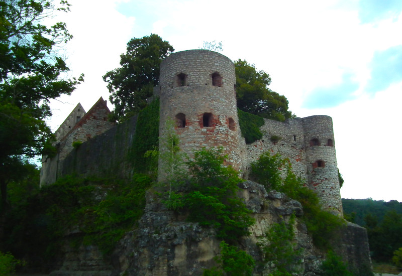 Ruine einer alten Burg umgeben von Bäumen und Pflanzen.