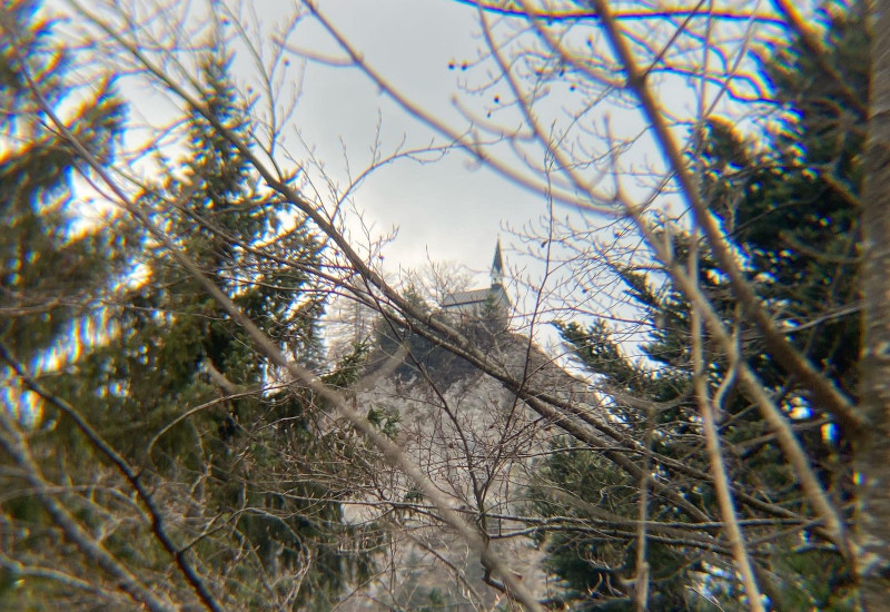 Blick auf eine Kirche zwischen Bäumen und Wolken.