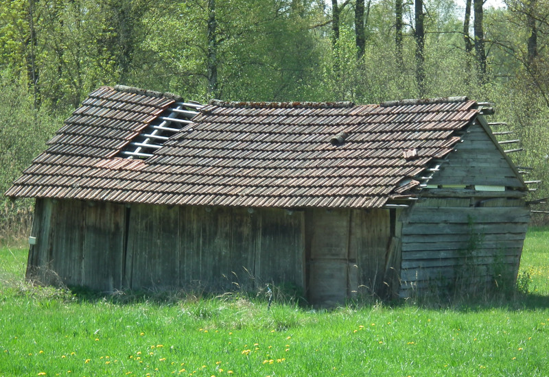 Verfallenes Holzhaus mit beschädigtem Dach in grüner Wiese.