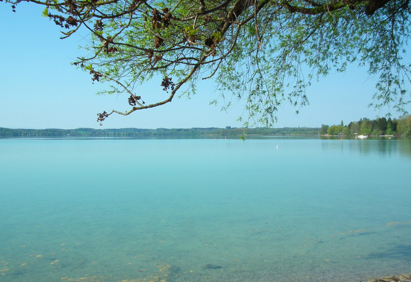 Ruhiger See mit klarem Wasser und grünem Ufer.