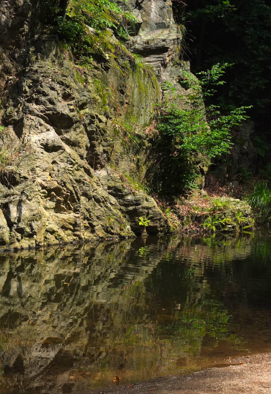Felsen und Pflanzen spiegeln sich im ruhigen Wasser.