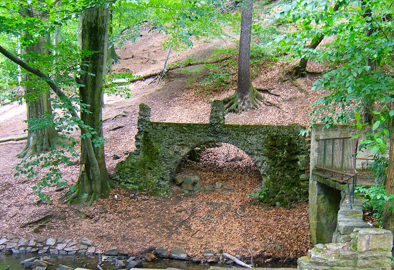 Verfallene Steinbrücke umgeben von Bäumen und Laub.