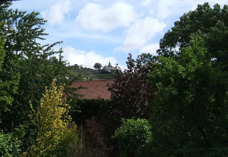 Blick auf ein Haus umgeben von Bäumen und Wolken.