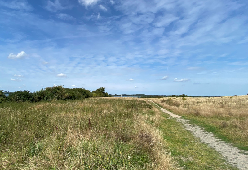 Weite Landschaft mit Weg, Gras und blauem Himmel.