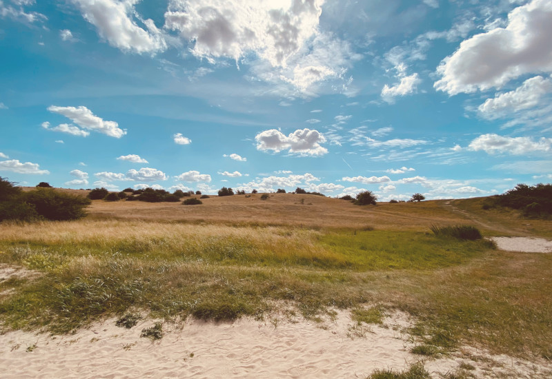 Weite Landschaft mit Gras, Hügeln und bewölktem Himmel.