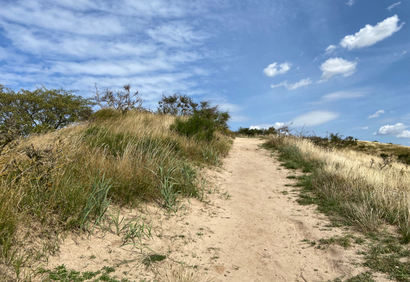 Sandiger Weg durch hügelige Landschaft unter blauem Himmel.