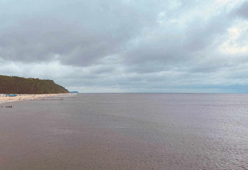 Blick auf ruhiges Meer und bewaldete Küste unter bewölktem Himmel.