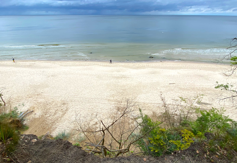 Strandansicht mit sanften Wellen und bewaldetem Ufer.