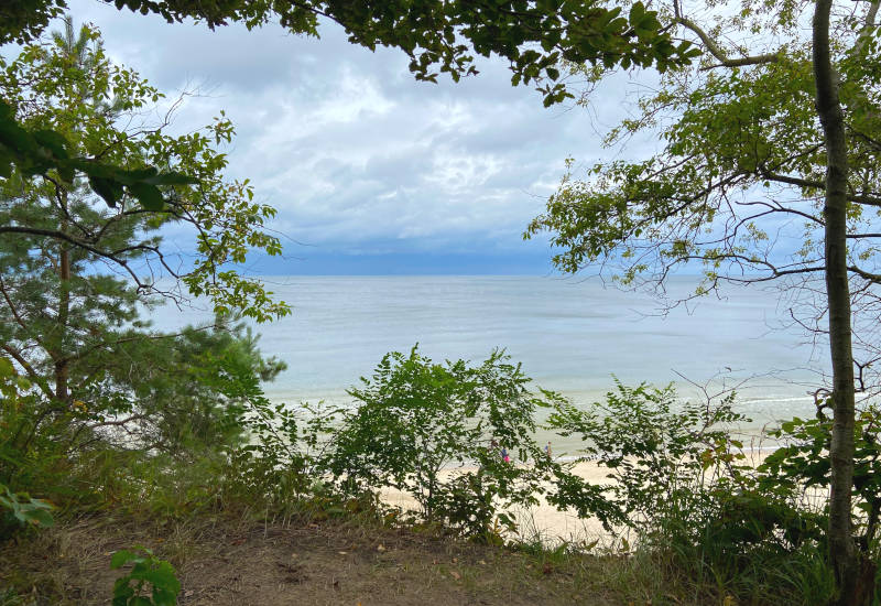 Blick auf ruhigen See durch Bäume und Sträucher.