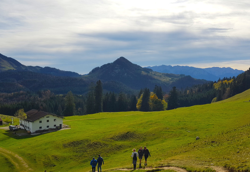 Wanderer auf grüner Wiese mit Bergen im Hintergrund.