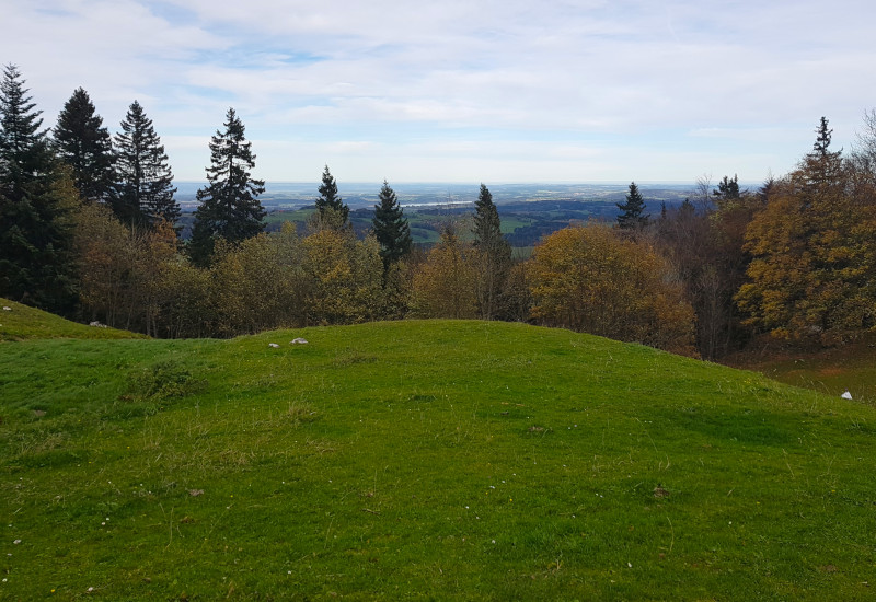 Grüne Wiese mit Bäumen und weitem Ausblick auf die Landschaft.