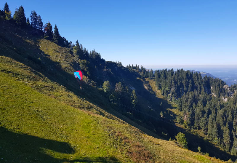 Paraglider schwebt über grüne Wiesen und bewaldete Hügel.