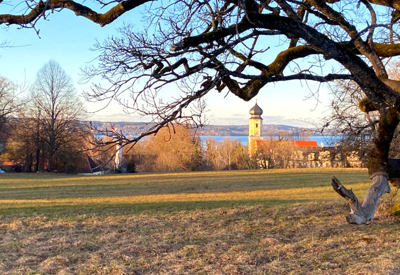 Blick auf einen See mit Kirche und Bäumen im Vordergrund.