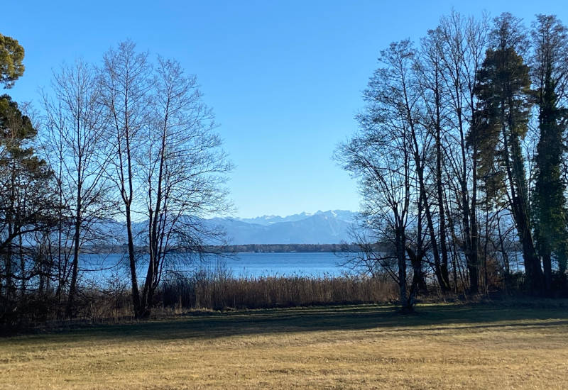 Blick auf einen See mit Bergen und Bäumen im Vordergrund.