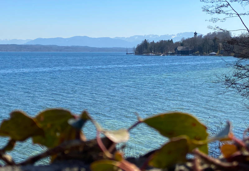 Blick auf einen See mit Bergen im Hintergrund und Pflanzen im Vordergrund.