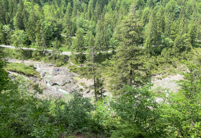 Blick auf einen Wald mit Fluss und Wanderern.