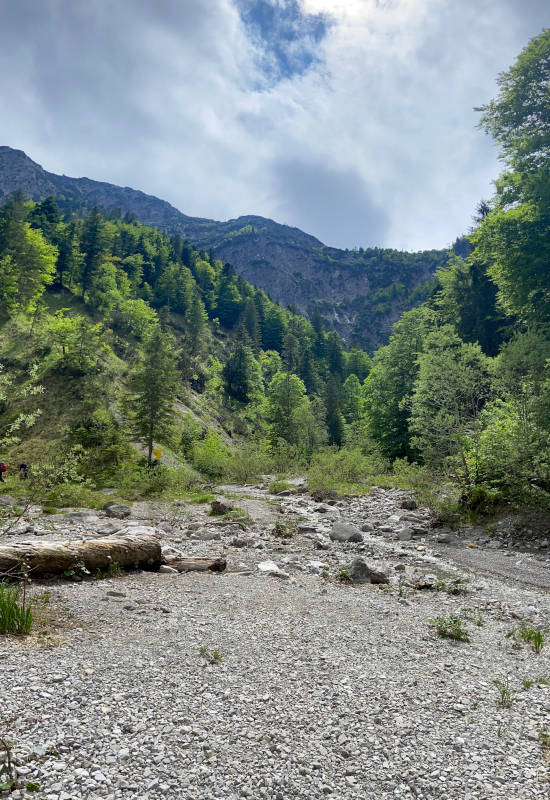 Berglandschaft mit Bäumen, Steinen und bewölktem Himmel.