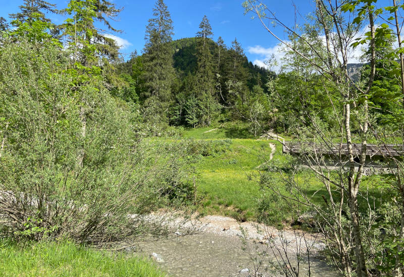Grüne Landschaft mit Bäumen, Fluss und Holzbrücke.