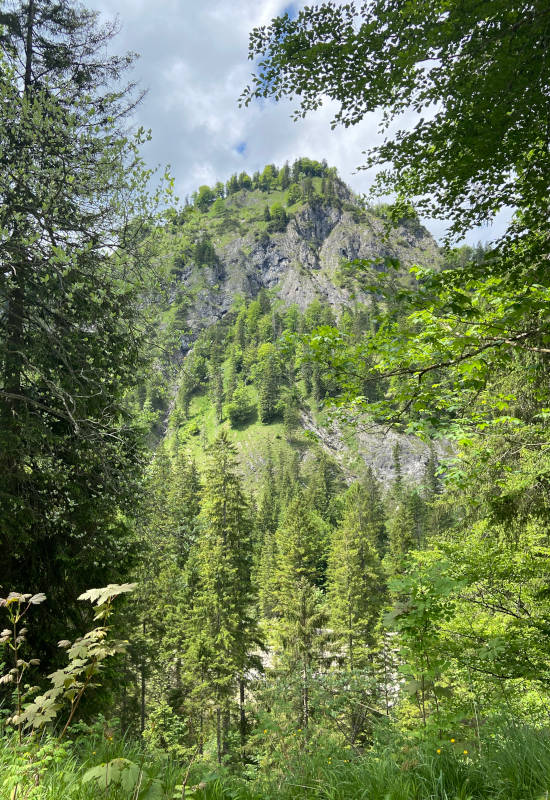 Berglandschaft mit Bäumen und bewaldetem Hang unter bewölktem Himmel.