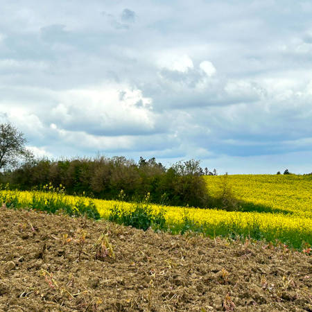 Spaziergang um Hettenshausen bei Pfaffenhofen an der Ilm
