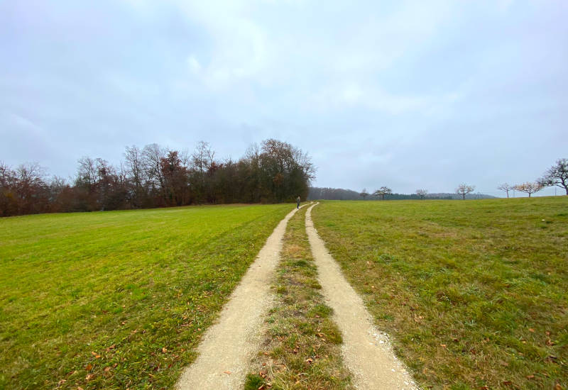 Weg durch eine grüne Wiese unter bewölktem Himmel.