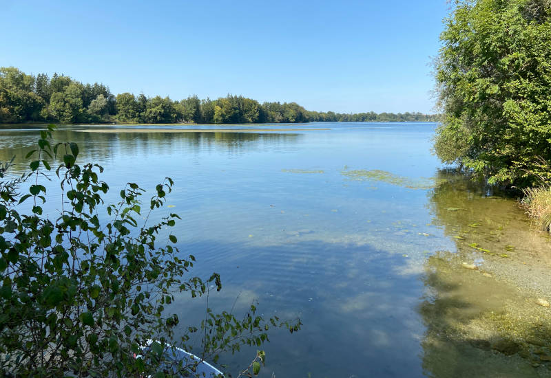 Ruhiger See mit Ufervegetation und klarem blauen Himmel.