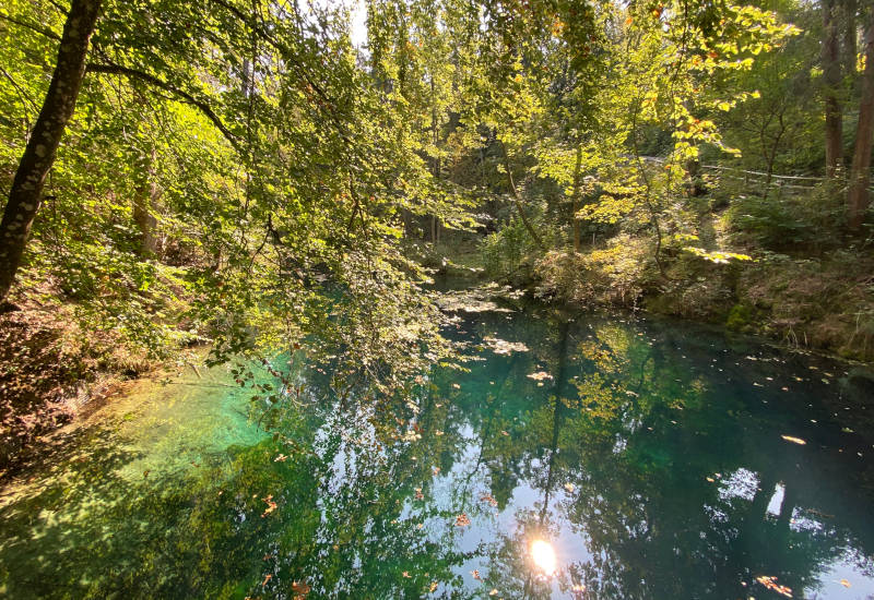 Klarer Teich umgeben von grünen Bäumen und Sonnenlicht.