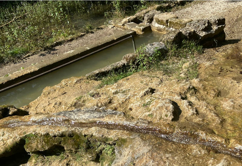 Felsen mit Wasserlauf und grünem Uferbewuchs.