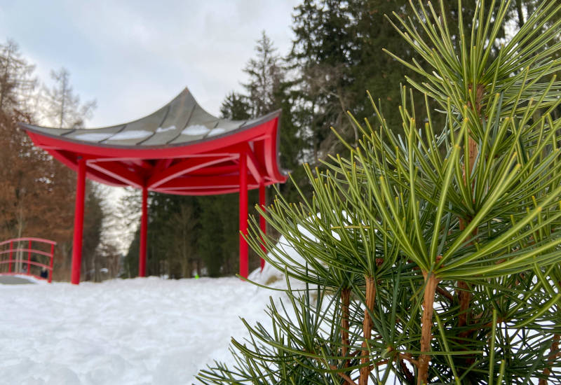 Roter Pavillon im Schnee, umgeben von Nadelbäumen.