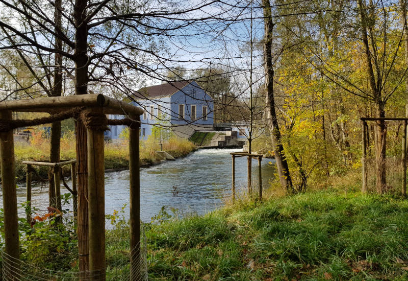 Blaues Gebäude am Fluss, umgeben von Bäumen und Gras.